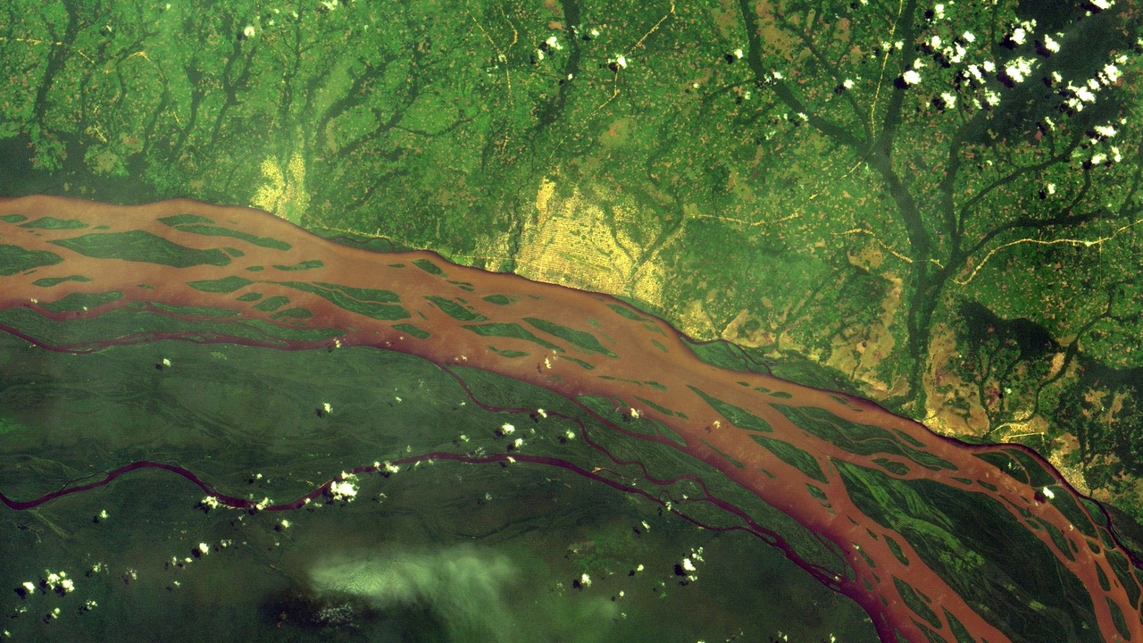 Congo rainforest and river landscape with dense canopy