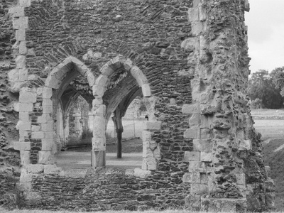 Old Mellifont Abbey