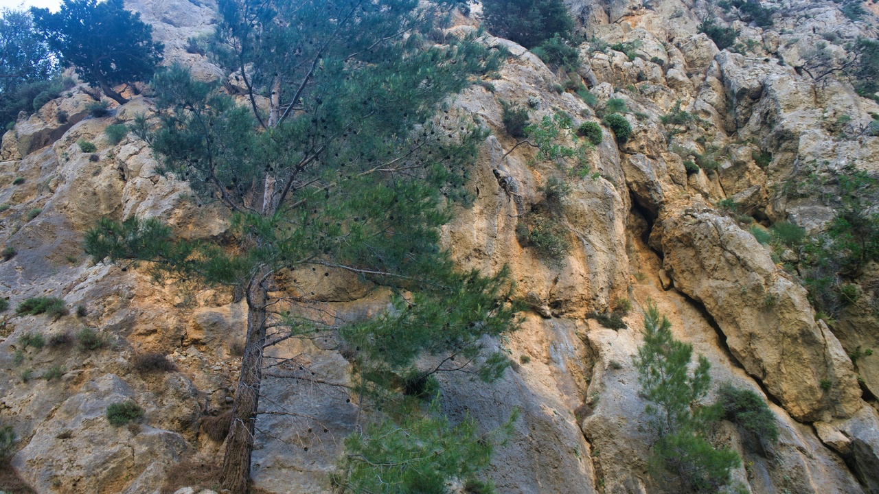 Hikers and skiers near Hyalite Canyon and Bridger Bowl with the Gallatin Range in the background