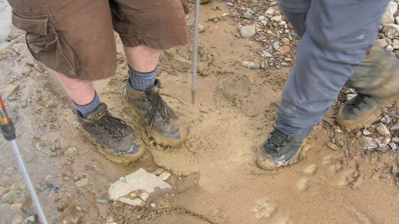 Scenic Denali Park Road with bus and distant mountain vistas