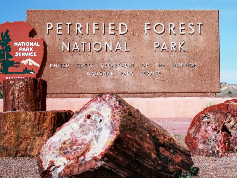 Petrified Forest