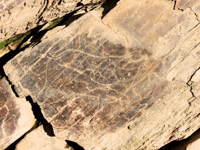 Prehistoric Rock Art Sites in the Côa Valley and Siega Verde