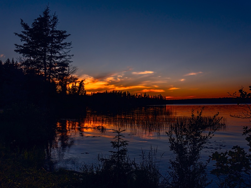 Prince Albert National Park