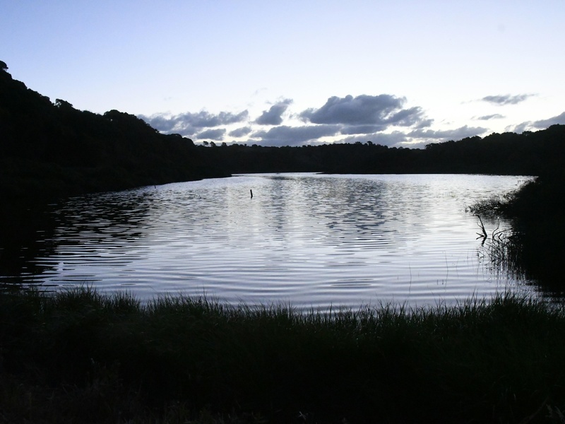 Saltwhistle Bay Pond