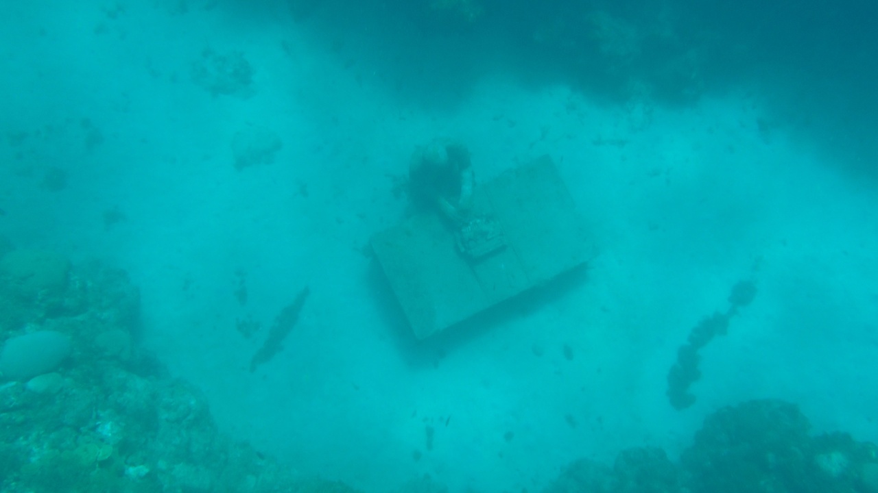 Scuba diver exploring the Molinere Underwater Sculpture Park near Grenada.