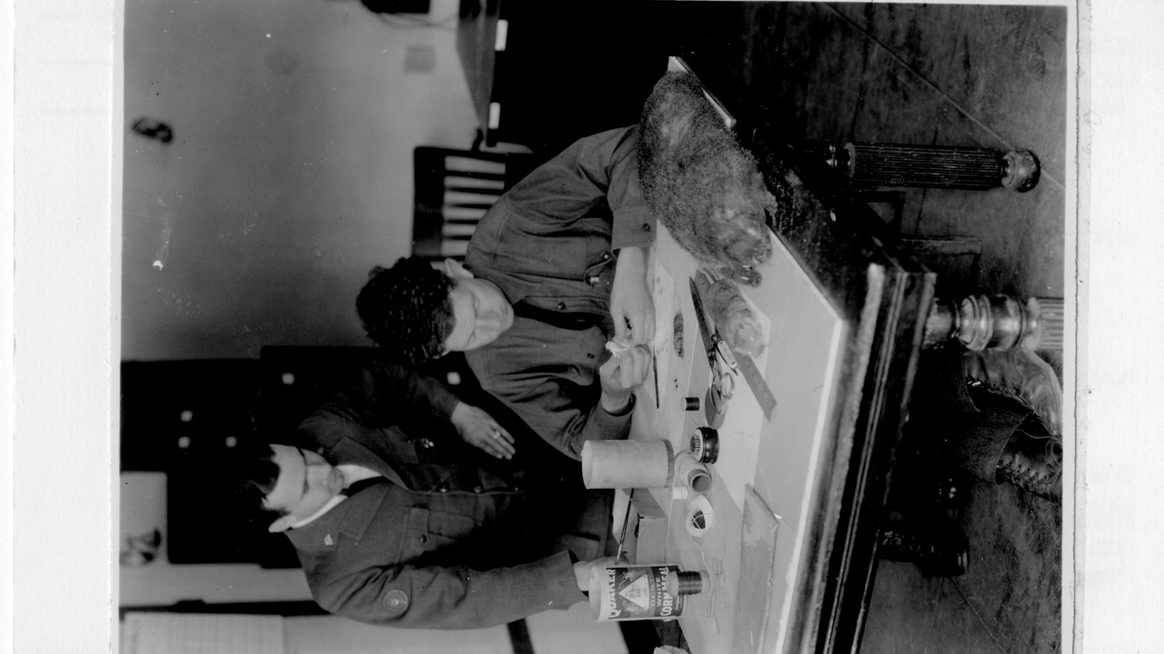 Museum of the Rockies building on a sunny day with people on Bozeman Main Street nearby