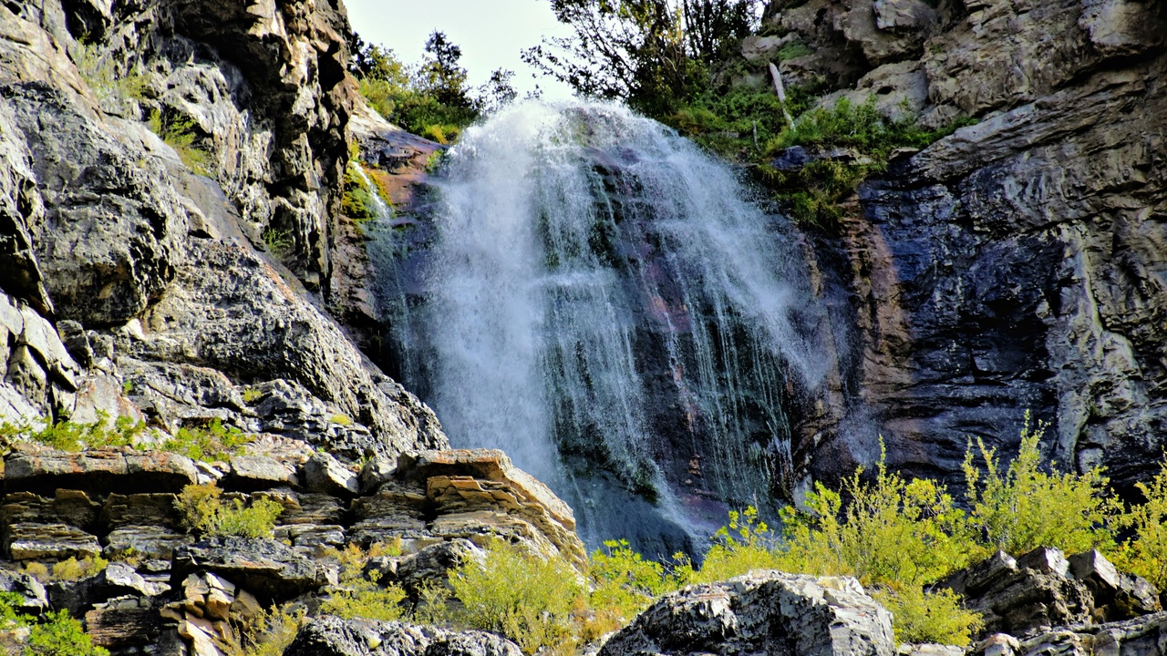 Mountain biker on Bentonville singletrack with forest backdrop