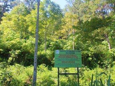 Tropical Rainforest Heritage of Sumatra