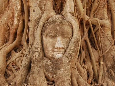 Wat Mahathat (Ayutthaya)