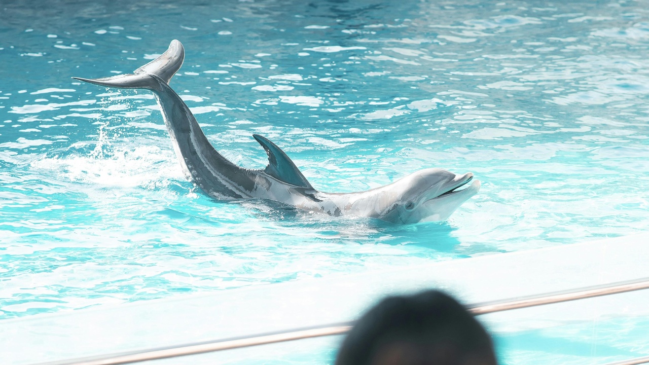 Small boat on Corpus Christi Bay near waterfront restaurants