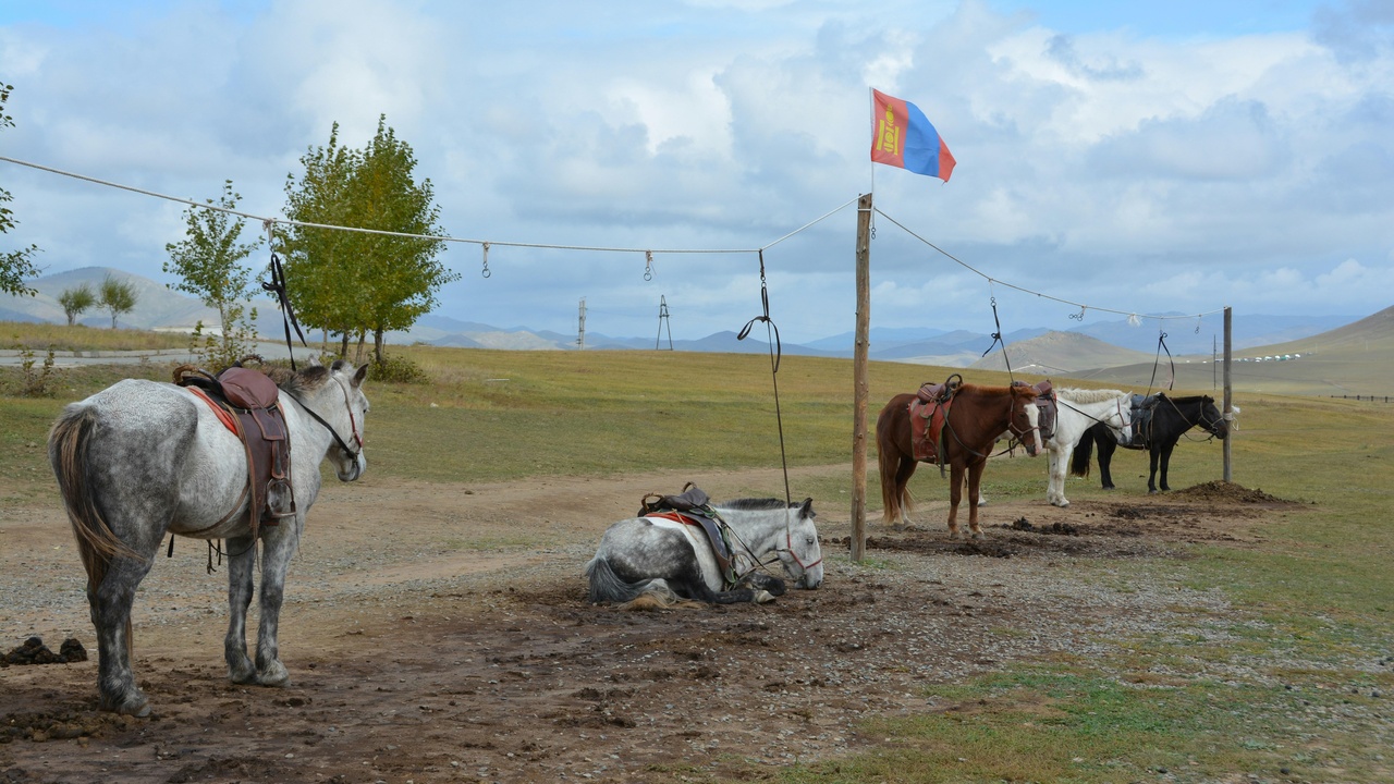 Horseback riders crossing the Mongolian steppe with Altai mountains in the distance