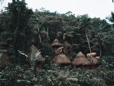 Yanomami
