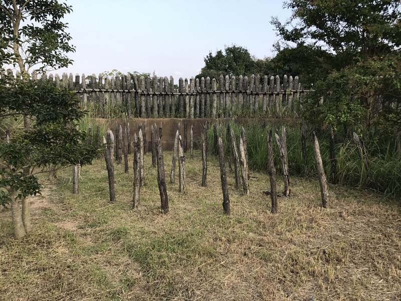 Yoshinogari Historical Park