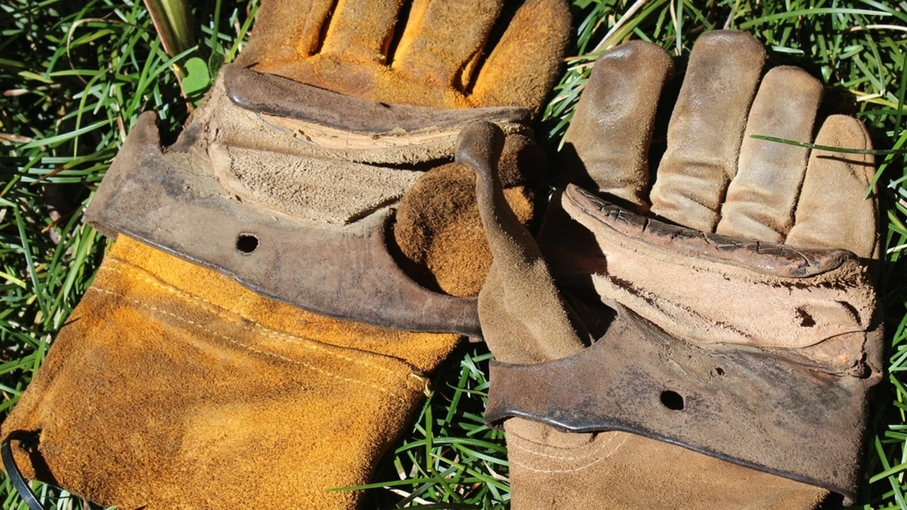 Traveler ziplining over Costa Rican canopy