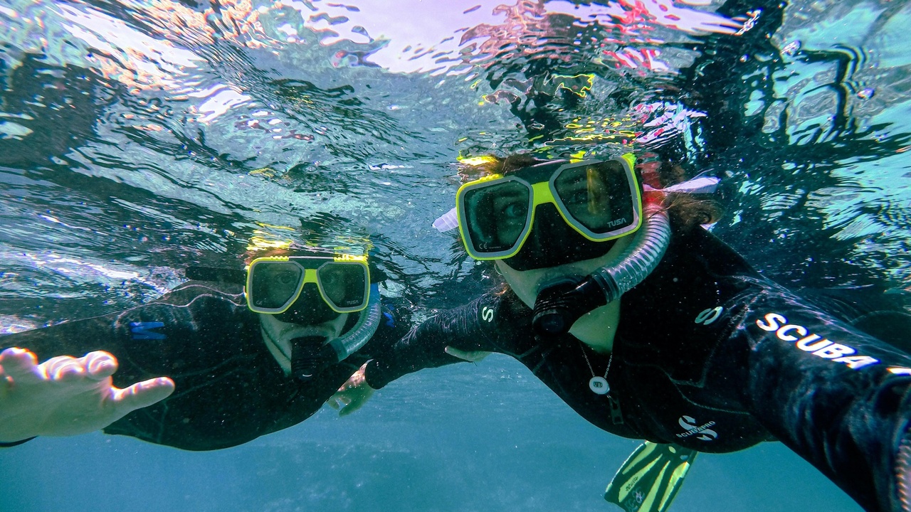 Aerial view of coral reef and turquoise water representing coastal and marine adventures