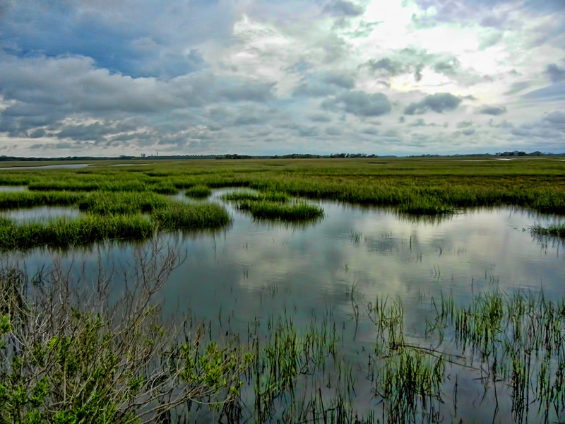 Cumberland Island