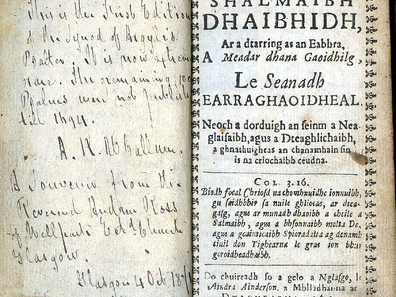 Ireland Native Language List of Ireland Ethnic Groups - 33travels