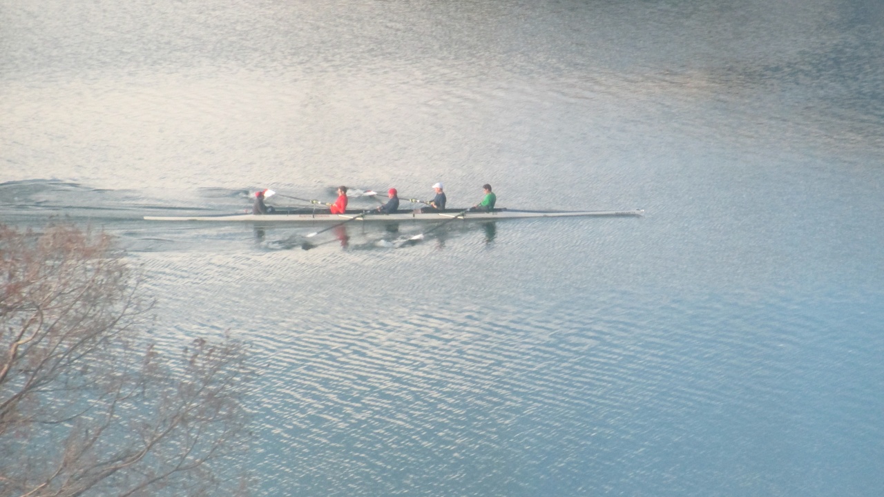 Kayakers and paddleboarders on Lady Bird Lake with the Austin skyline
