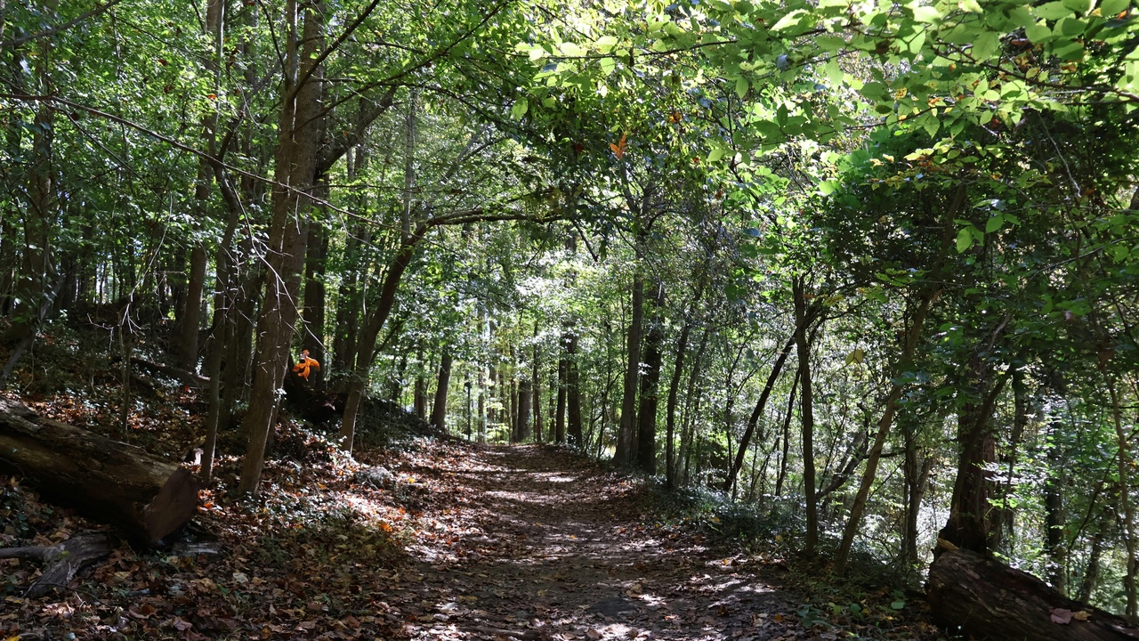 Hikers on a rocky trail in Barton Creek Greenbelt with trees and limestone outcrops