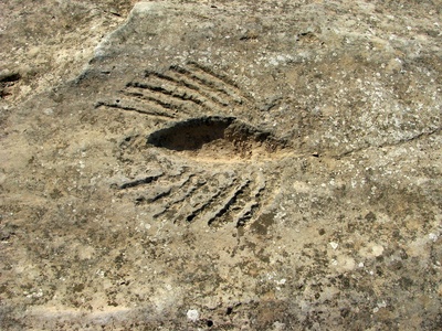 Jebel Jassassiyeh rock carvings