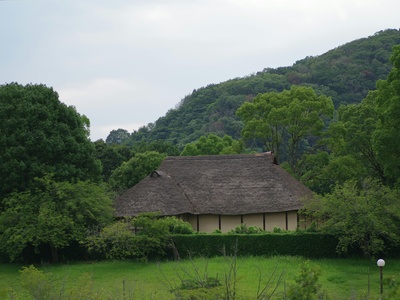 Kaguru