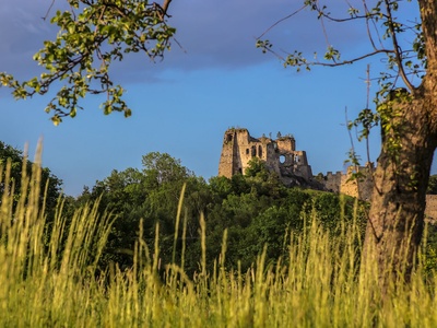 Kamieniec (Odrzykoń) Castle