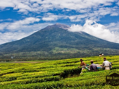 Kerinci