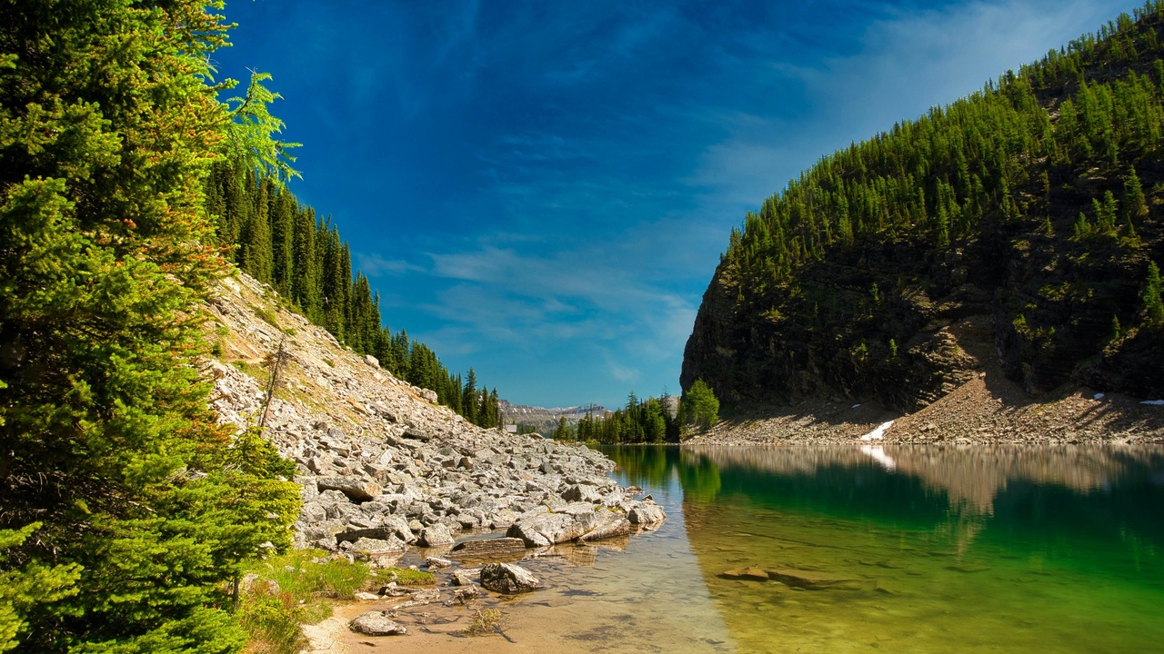 Rugged mountain trail and forest representing mountain, forest, and cultural adventures