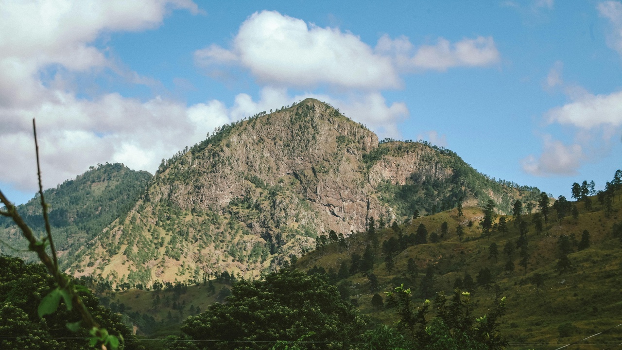 Mount Cameroon and coastal rainforest scenery