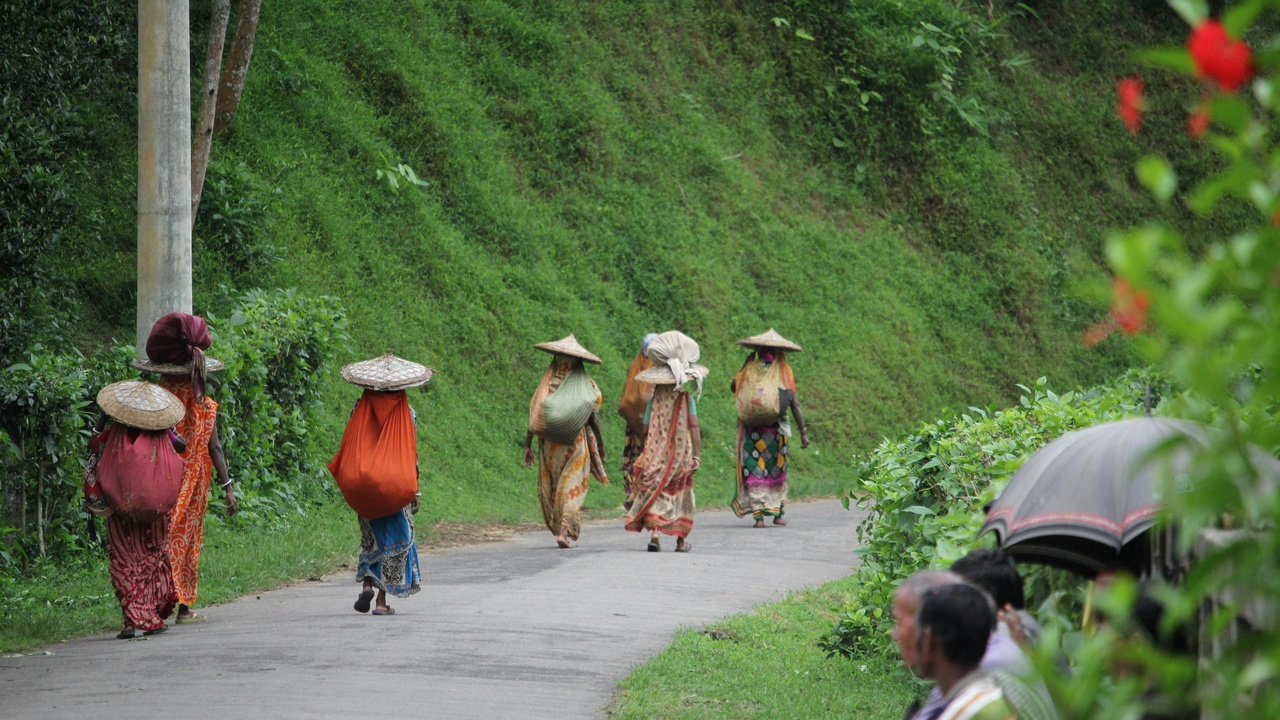 Red desert landscape and rock formations representing Outback and desert adventures