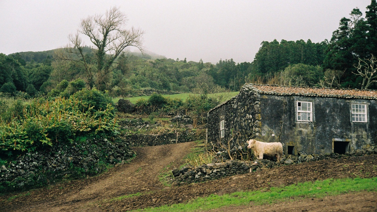 Coastal Irish village with people in a local pub and countryside in background