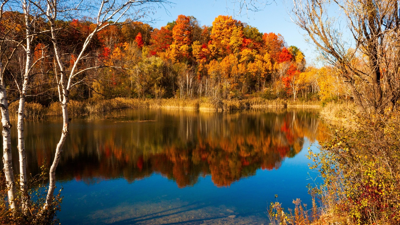Crowd outside a stadium in Wisconsin illustrating event-driven crime and seasonal spikes.