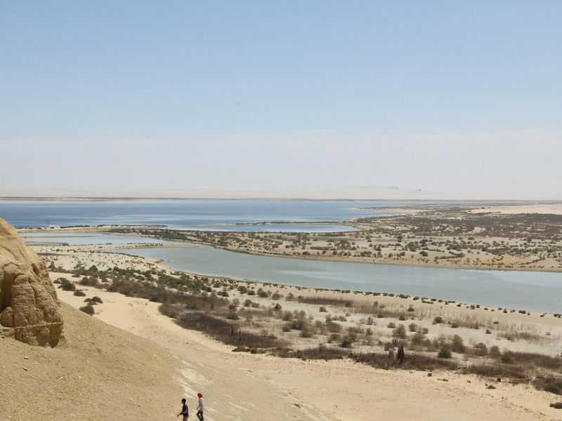 Wadi Rima
