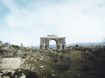 Arges Poiana Ruins (Poiana) 