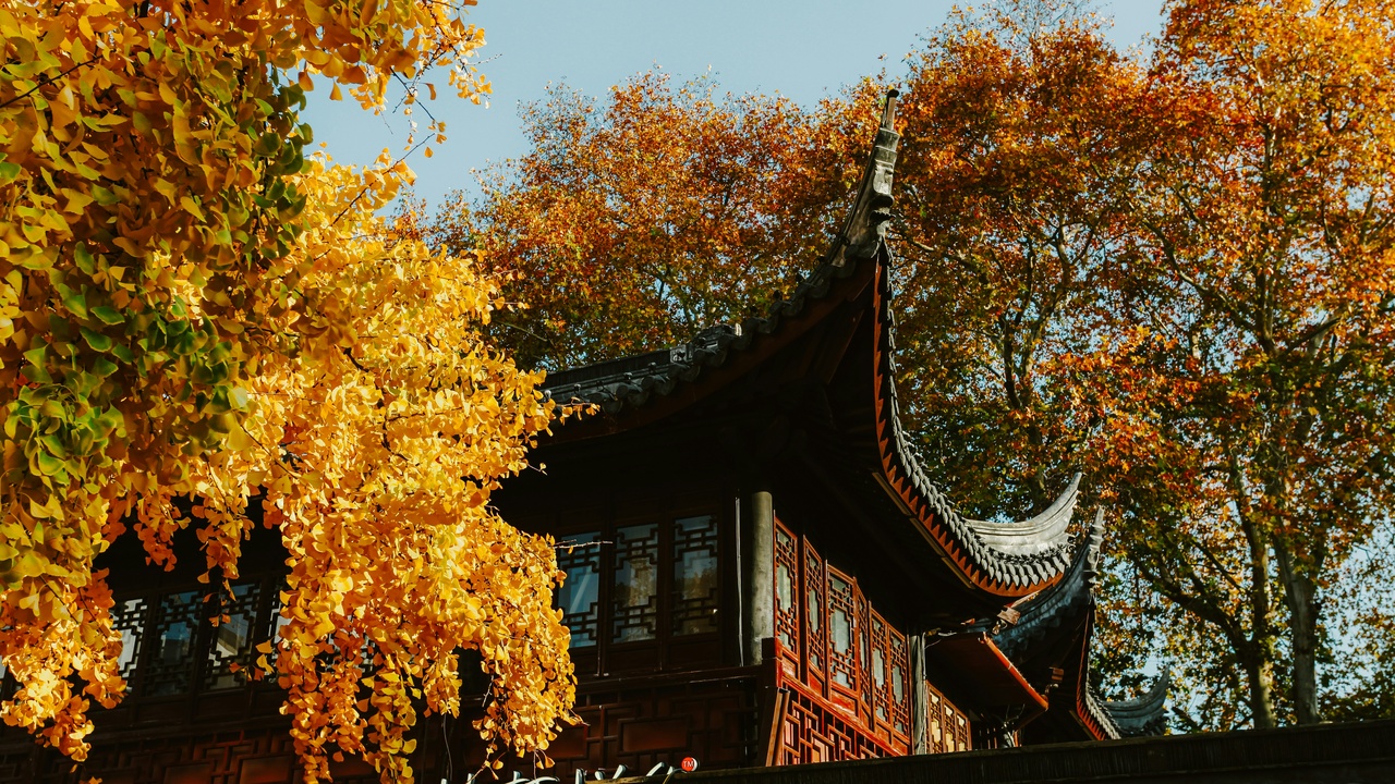 Students networking, cultural exchange, and internships in China