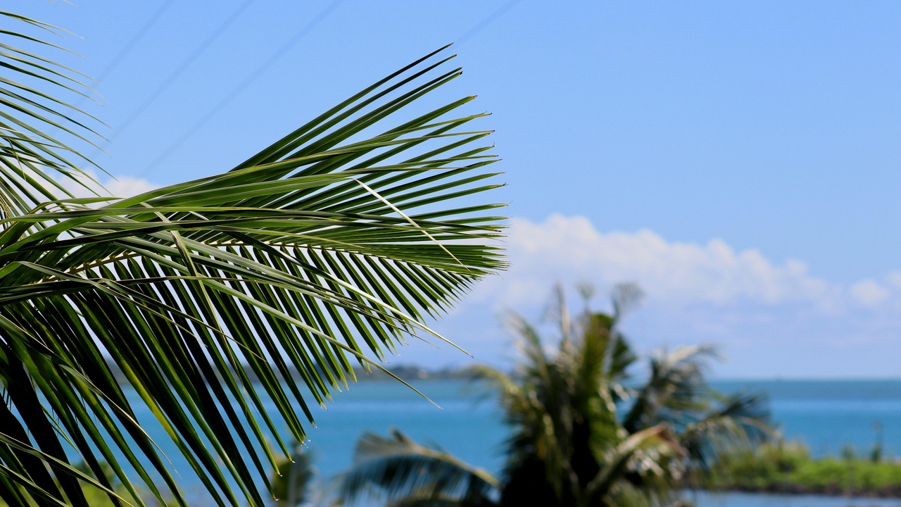Fa'a Samoa village performance at a fiafia near Apia, Samoa
