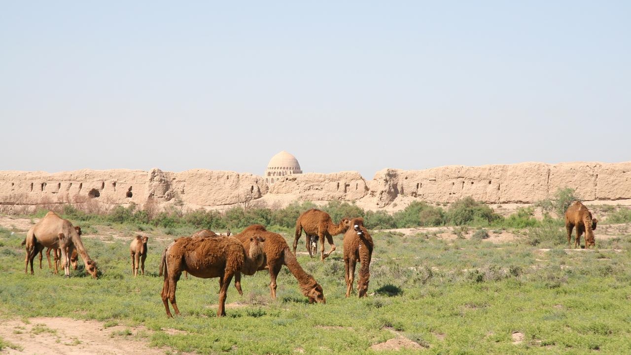 Ancient ruins and cultural scenes in Turkmenistan