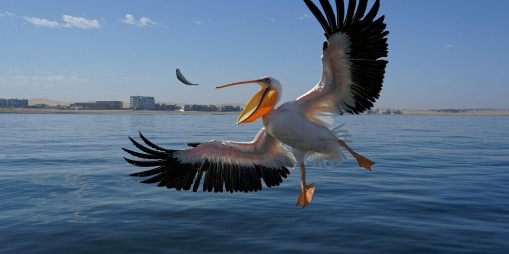 featured_image