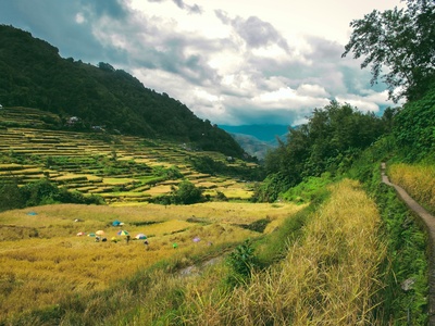 Ifugao