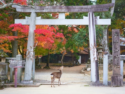 Nara