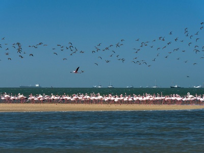 Walvis Bay