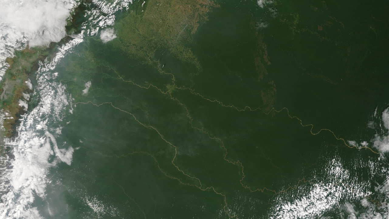 Tropical forest and wildlife in Bolivia's Amazon region.