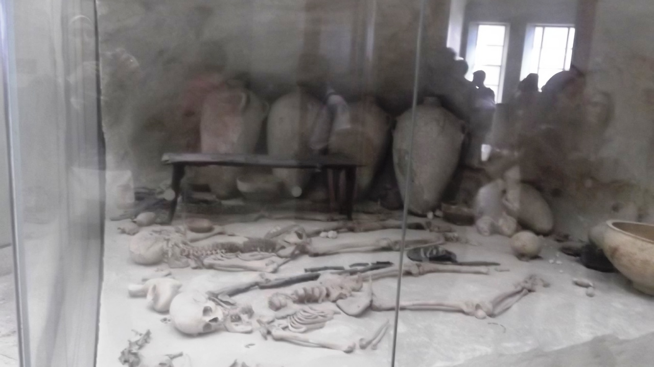 Ancient Egyptian monuments and Cairo cultural life