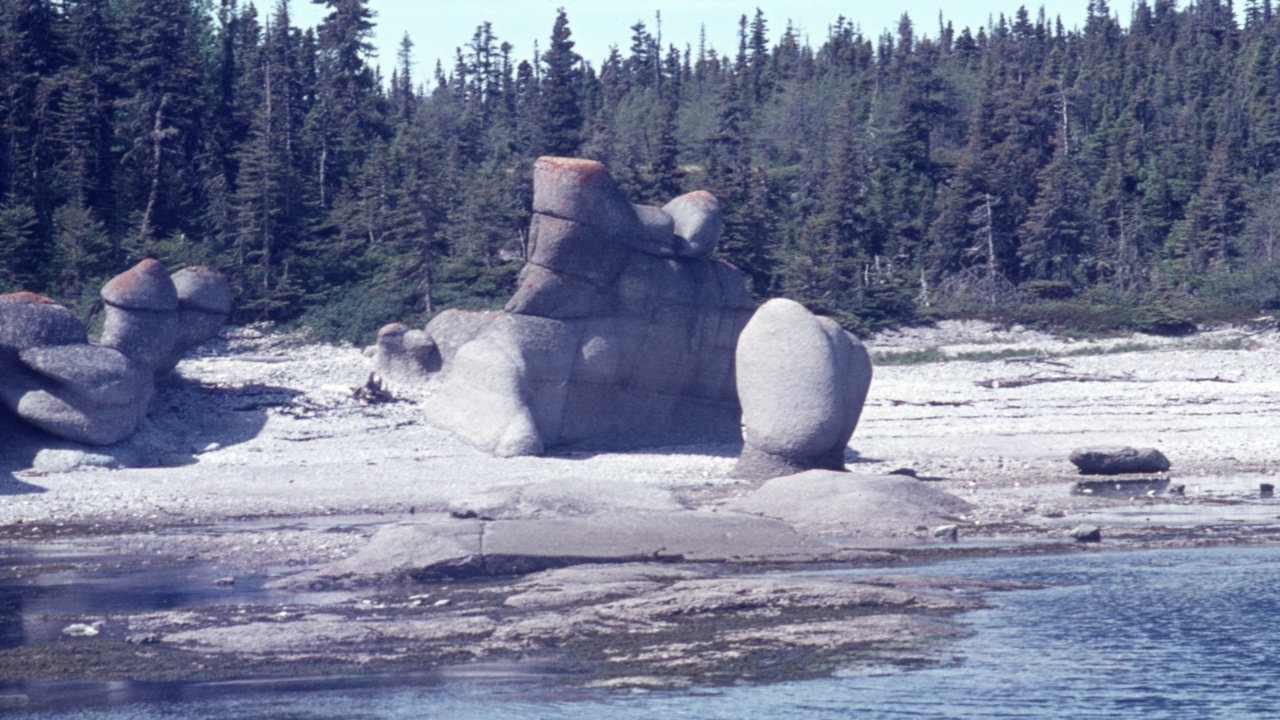 Bahraini family gathering in a traditional majlis with gahwa and dates