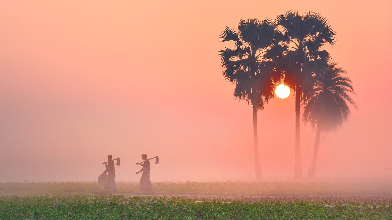 Visitors enjoying the Pier 60 sunset festival with performers and craft stalls
