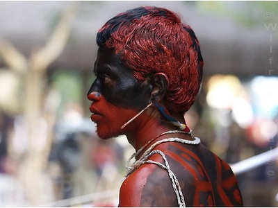 Indigenous (Indígena)