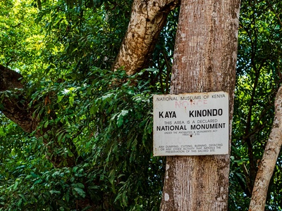 Kaya Kinondo