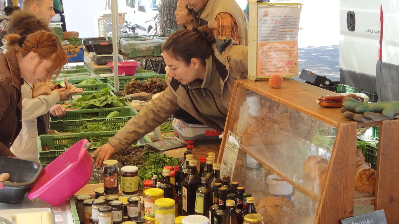 Carouge streets and Plainpalais market scene with Bains des Pâquis pier in the distance