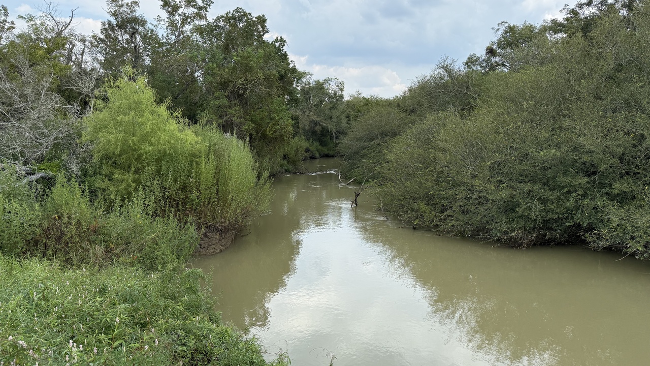 Buffalo Bayou Park skyline and kayakers