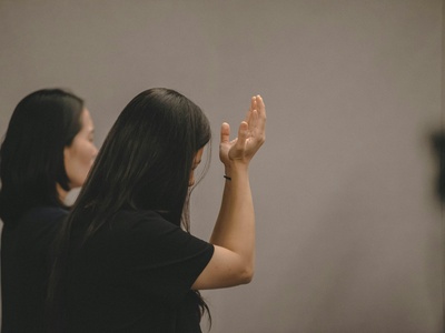 Polish Sign Language (users)